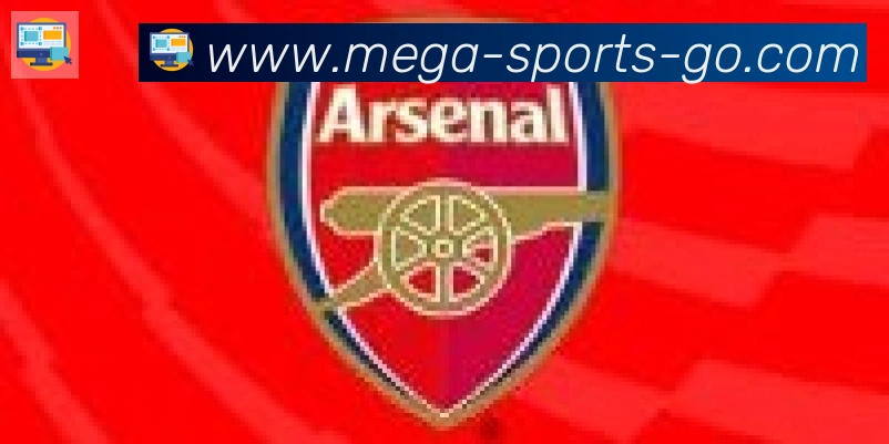 bsports体育合作伙伴